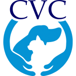 favicon favicon